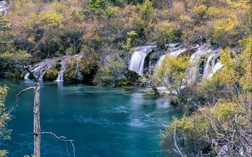 高标准高端